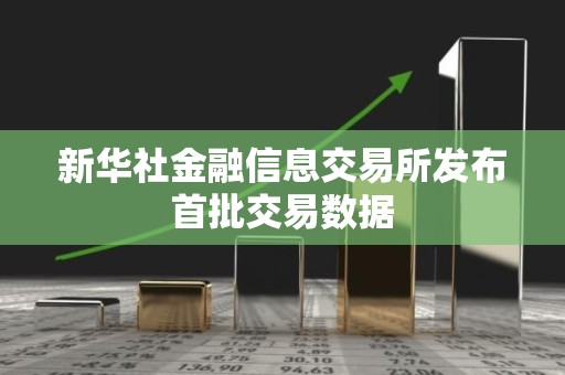 新华社金融信息交易所发布首批交易数据