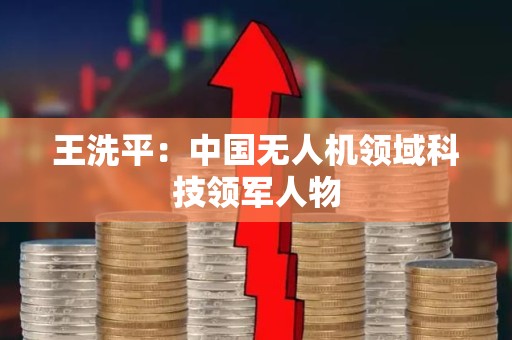 王洗平：中国无人机领域科技领军人物