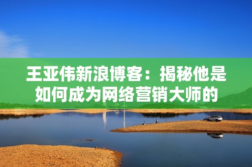王亚伟新浪博客：揭秘他是如何成为网络营销大师的