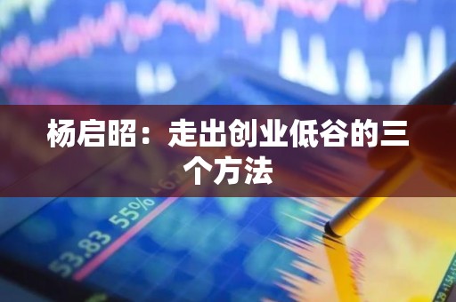 杨启昭：走出创业低谷的三个方法