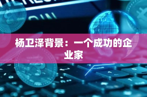 杨卫泽背景：一个成功的企业家