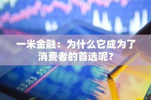 一米金融：为什么它成为了消费者的首选呢？