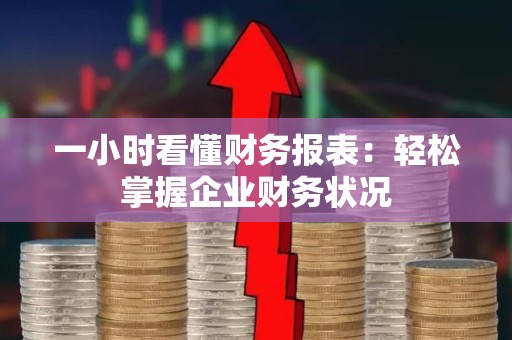一小时看懂财务报表：轻松掌握企业财务状况