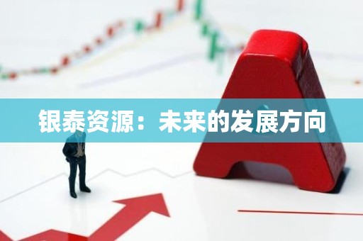 银泰资源：未来的发展方向