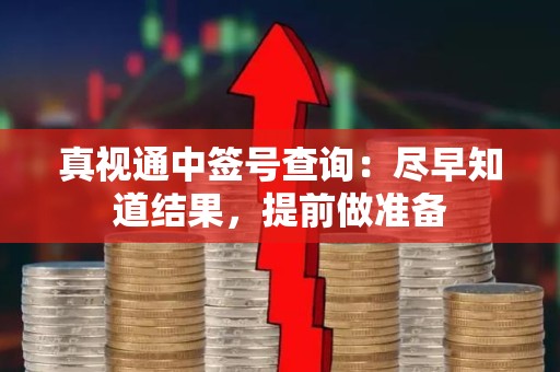 真视通中签号查询：尽早知道结果，提前做准备