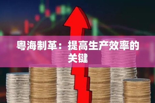 粤海制革：提高生产效率的关键