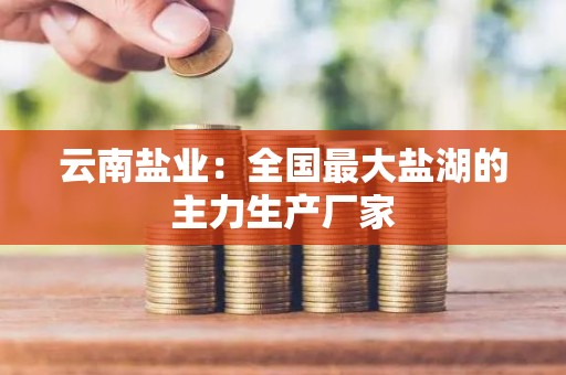 云南盐业：全国最大盐湖的主力生产厂家