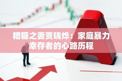 糟糠之妻贾晓烨：家庭暴力幸存者的心路历程