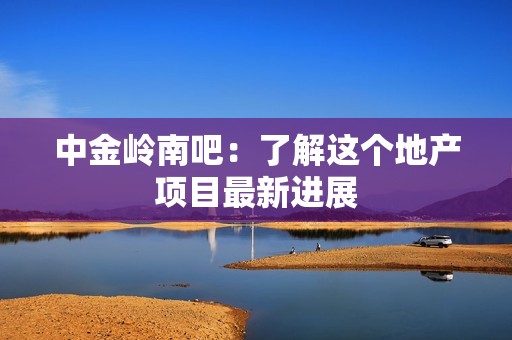 中金岭南吧：了解这个地产项目最新进展
