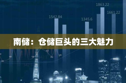 南储：仓储巨头的三大魅力