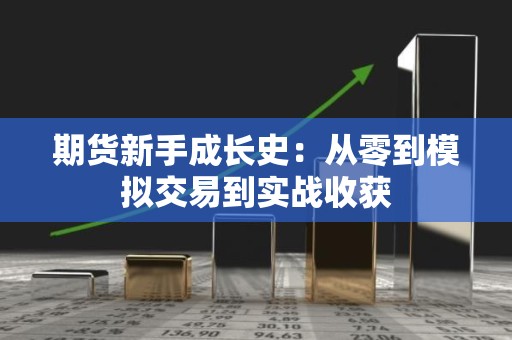<strong><strong>期货</strong></strong>新手成长史：从零到模拟交易到实战收获