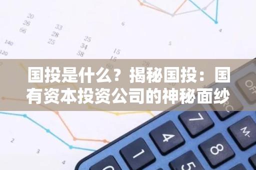 国投是什么？揭秘国投：国有资本投资公司的神秘面纱