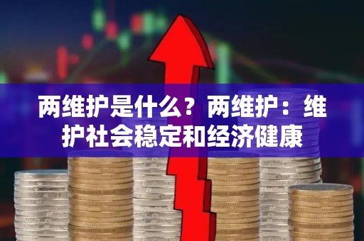 两维护是什么？两维护：维护社会稳定和经济健康