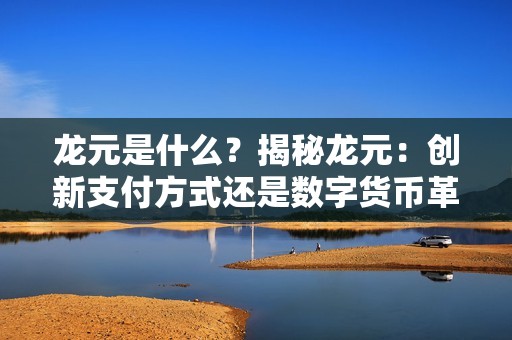 龙元是什么？揭秘龙元：创新支付方式还是数字货币革命？