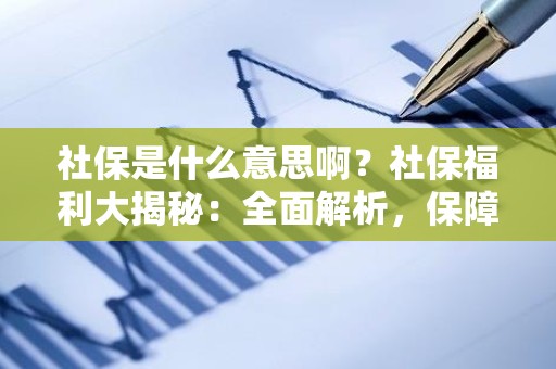 社保是什么意思啊？社保福利大揭秘：全面解析，保障你的未来