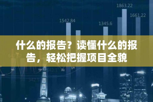 什么的报告？读懂什么的报告，轻松把握项目全貌