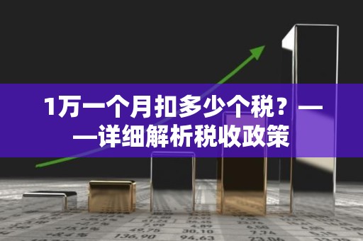 1万一个月扣多少个税？——详细解析税收政策