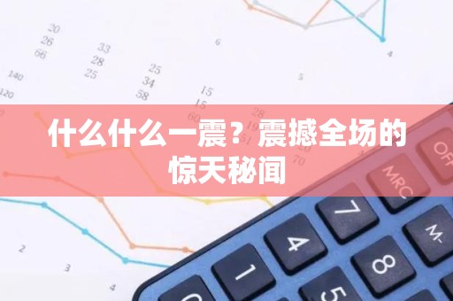 什么什么一震？震撼全场的惊天秘闻