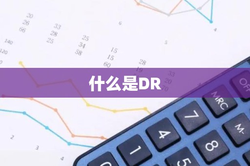 什么是DR