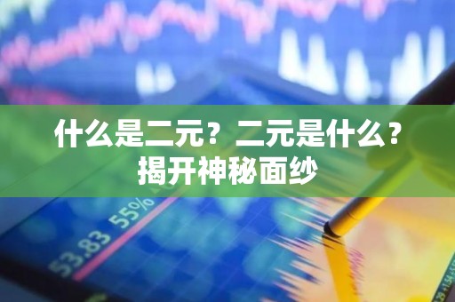 什么是二元？二元是什么？揭开神秘面纱
