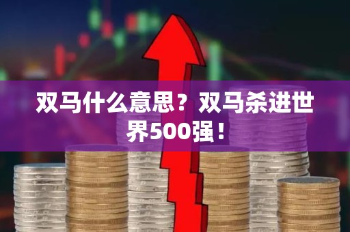 双马什么意思？双马杀进世界500强！