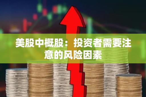 美股中概股：投资者需要注意的风险因素