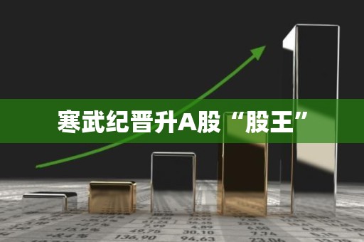寒武纪晋升A股“股王”