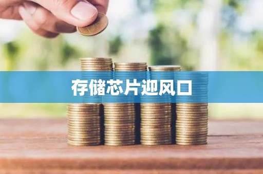存储芯片迎风口
