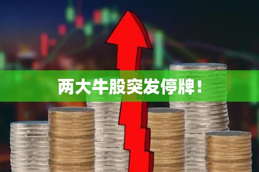 两大牛股突发停牌!
