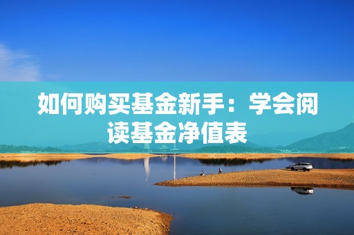 如何购买基金新手：学会阅读基金净值表