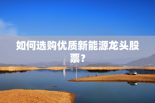 如何选购优质新能源龙头股票？