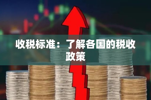 收税标准：了解各国的税收政策