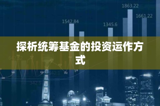 探析统筹基金的投资运作方式