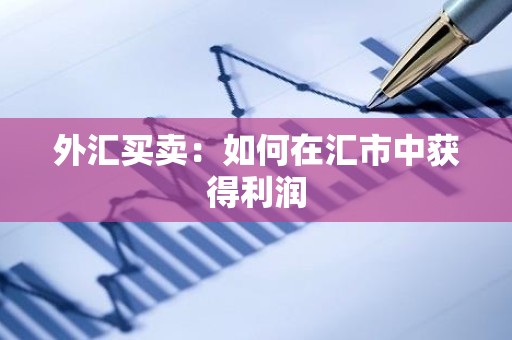 外汇买卖：如何在汇市中获得利润