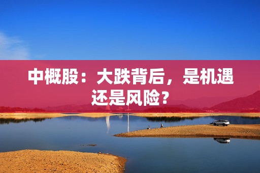 中概股：大跌背后，是机遇还是风险？