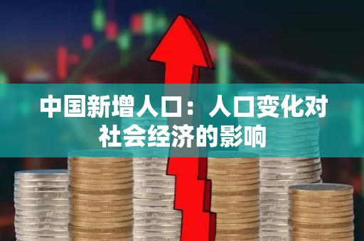 中国新增人口：人口变化对社会经济的影响