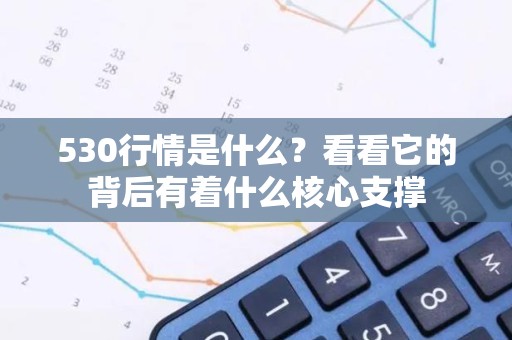 530行情是什么？看看它的背后有着什么核心支撑